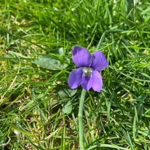 Meet your Posher, Alison